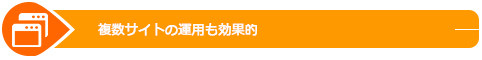 複数サイトの運用も効果的