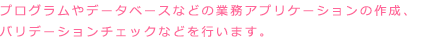 プログラムやデータベースなどの業務アプリケーションの作成、バリデーションチェックを行います