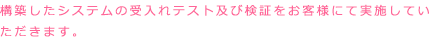 構築したシステムの受入れテスト検証をお客様にて実施して頂きます。